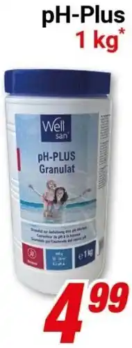CENTERSHOP Well san pH-Plus Angebot