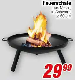 CENTERSHOP Feuerschale Angebot