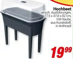 CENTERSHOP Hochbeet Angebot