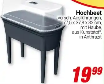 CENTERSHOP Hochbeet Angebot