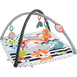 Netto Marken-Discount Fisher-Price Spielbogen/Decke Spieldecke mit Spielbogen, Licht & Musik Angebot