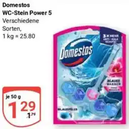 Globus Domestos WC-Stein Power 5 Angebot