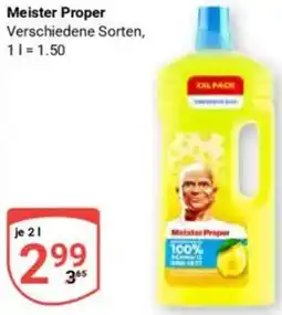 Globus Meister Proper Angebot