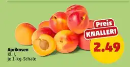 PENNY Aprikosen Angebot