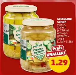 PENNY GREENLAND Gurken Angebot