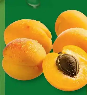 Aldi Nord Aprikosen Angebot