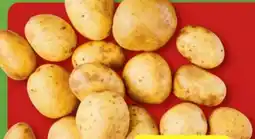 Aldi Nord Speisefrühkartoffeln Angebot