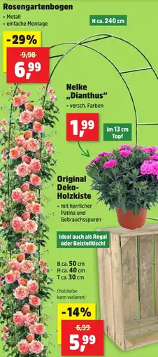 Thomas Philipps Rosengartenbogen Angebot