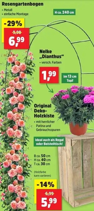 Thomas Philipps Rosengartenbogen Angebot