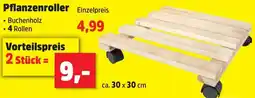 Thomas Philipps Pflanzenroller Angebot