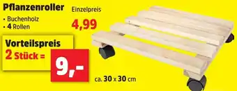 Thomas Philipps Pflanzenroller Angebot