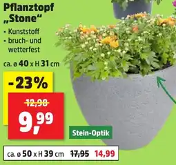 Thomas Philipps Pflanztopf ,,Stone" Angebot