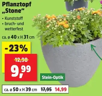 Thomas Philipps Pflanztopf ,,Stone" Angebot