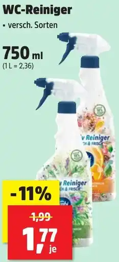Thomas Philipps WC-Reiniger Angebot