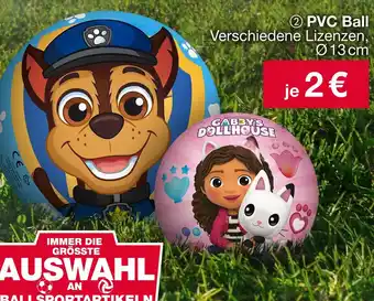 Woolworth Pvc ball Angebot