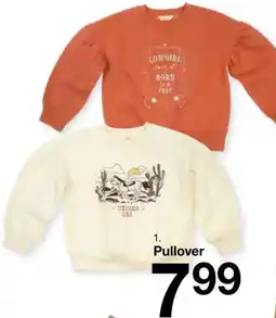 Zeeman Pullover Angebot