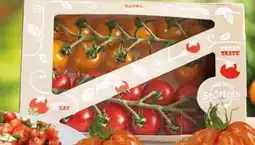 WEZ Belgische Cherry Rispentomaten Angebot