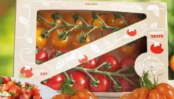 WEZ Belgische Cherry Rispentomaten Angebot