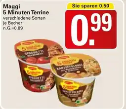 WEZ Maggi 5 Minuten Terrine Angebot