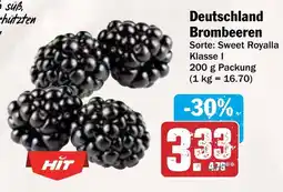 AEZ Deutschland Brombeeren Angebot