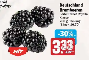 AEZ Deutschland Brombeeren Angebot