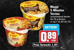 AEZ Maggi 5 Minuten Terrine Angebot