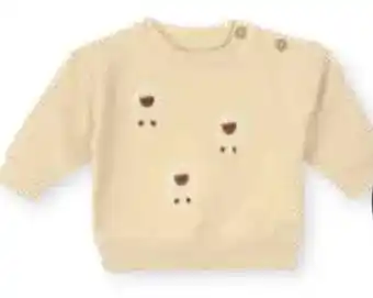 Zeeman Pullover Angebot