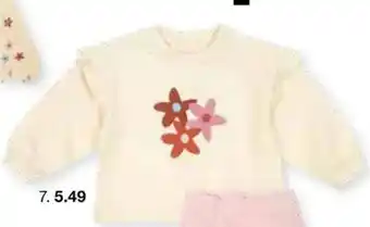 Zeeman Sweater Angebot