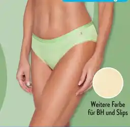 Aldi Süd SYLVIE MEIS Minislips Angebot