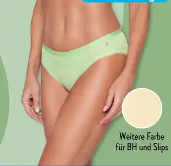 Aldi Süd SYLVIE MEIS Minislips Angebot