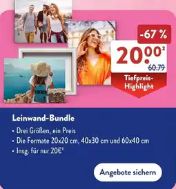 Aldi Süd Leinwand-Bundle Angebot