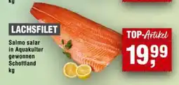 Handelshof LACHSFILET Angebot