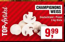 Handelshof CHAMPIGNONS WEISS Angebot