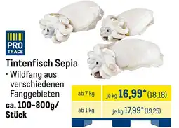 METRO PRO TRACE Tintenfisch Sepia Angebot