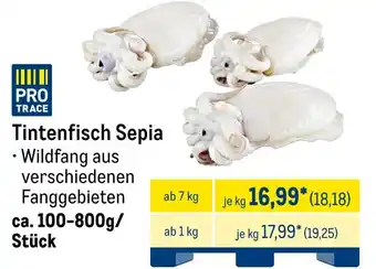 METRO PRO TRACE Tintenfisch Sepia Angebot
