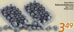 inkoop Deutschland Kulturheidelbeeren Angebot