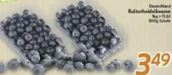 inkoop Deutschland Kulturheidelbeeren Angebot