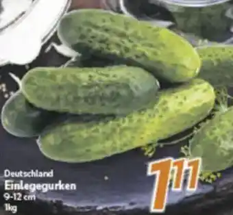 inkoop Deutschland Einlegegurken Angebot