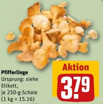 REWE Pfifferlinge Angebot