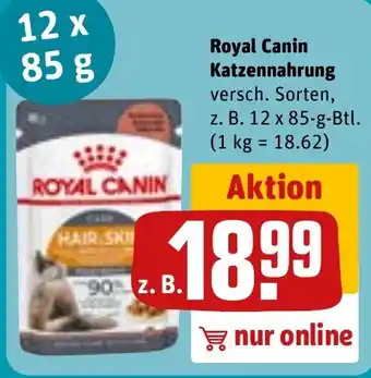 REWE Royal Canin Katzennahrung Angebot
