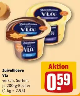 REWE Zuivelhoeve Vla Angebot