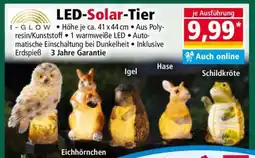 Norma LED-Solar-Tier Angebot