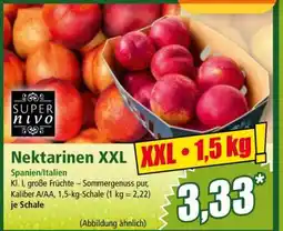 Norma Nektarinen XXL Angebot
