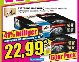 Norma Katzennassnahrung Angebot