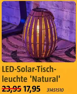 Bauhaus LED-Solar Tischleuchte 'Natural' Angebot
