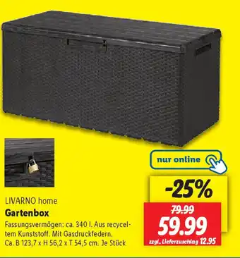Lidl LIVARNO home Gartenbox Angebot