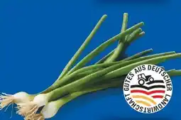 Lidl Lauchzwiebeln Angebot