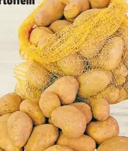 Thomas Philipps Speisefrühkartoffeln Angebot