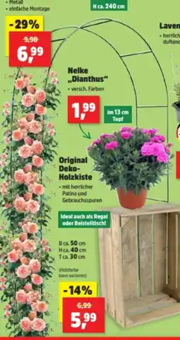 Thomas Philipps Metall-Rosengartenbogen Angebot