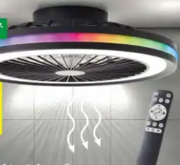 Hagebau Brilliant LED-Deckenleuchte Palmero Angebot